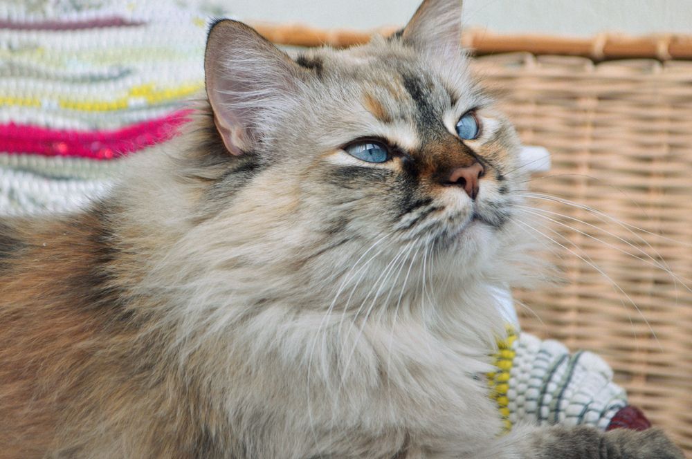 Солнечный день