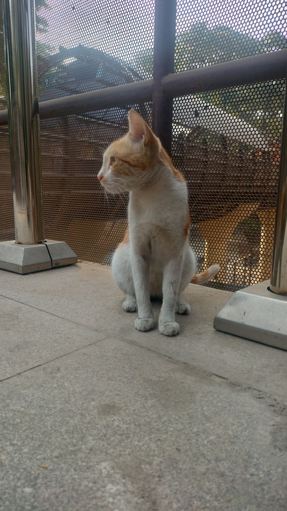 Photograph by Sumedh Kakatkar