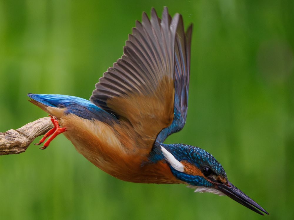 Photograph by Daniela Retzer