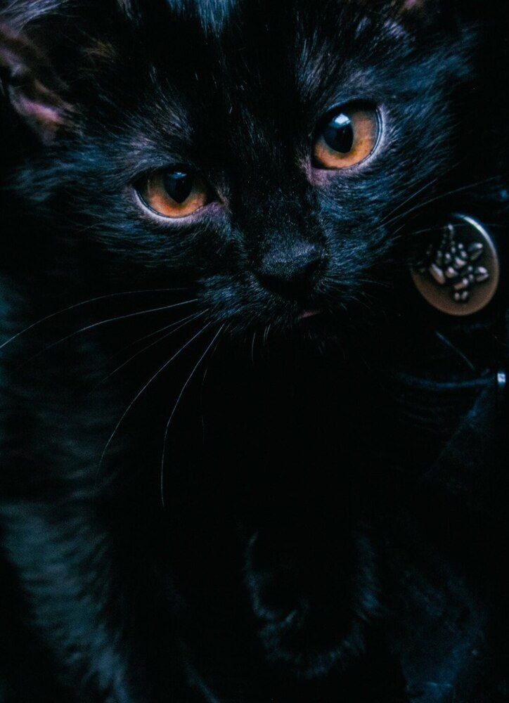 Photograph by Дарья Савелькина