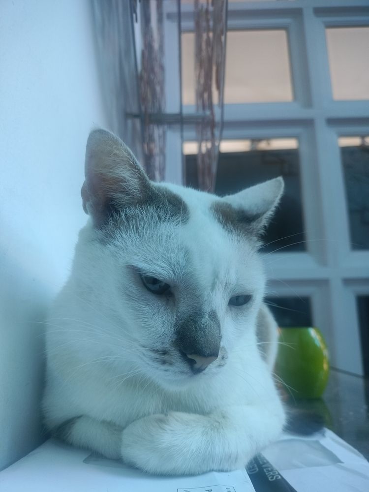 Photograph by Sumedh Kakatkar