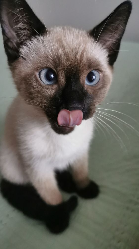 Photograph by Blanca Málaga