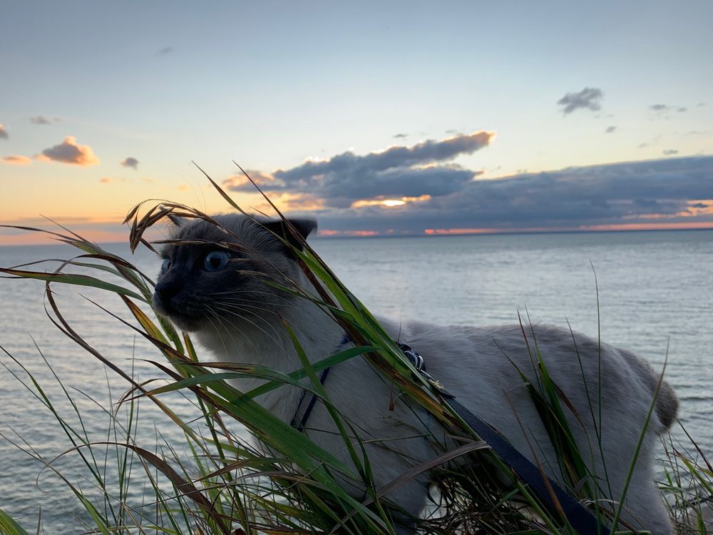 Photograph by Наталья Пасечко