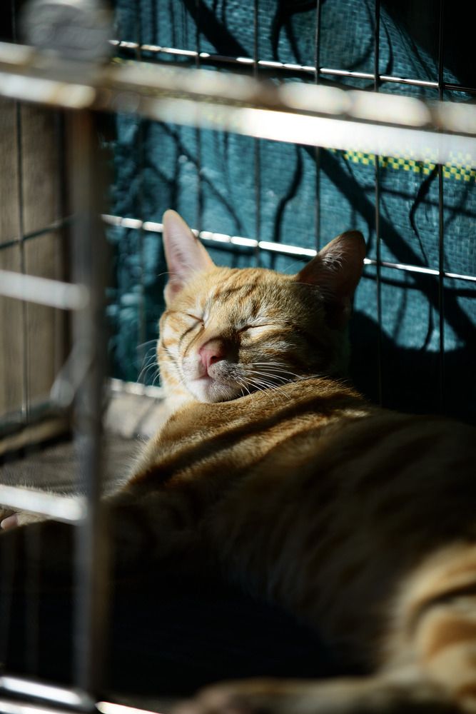 Photograph by Bùi Nguyễn