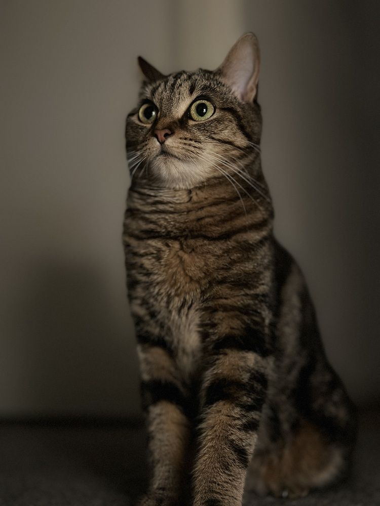 Photograph by  Syed Mortuza Hussain