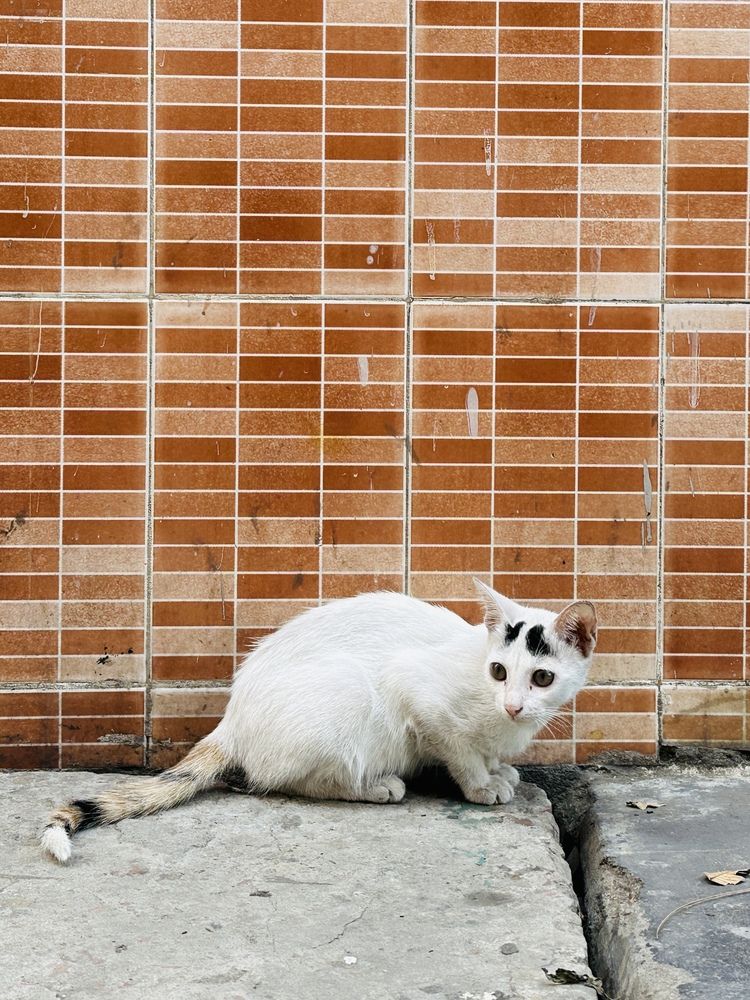 Photograph by  Syed Mortuza Hussain