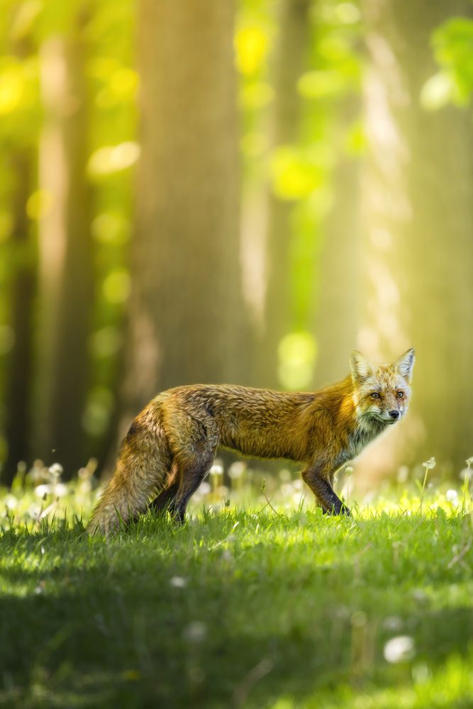 Photograph by Lu Gao