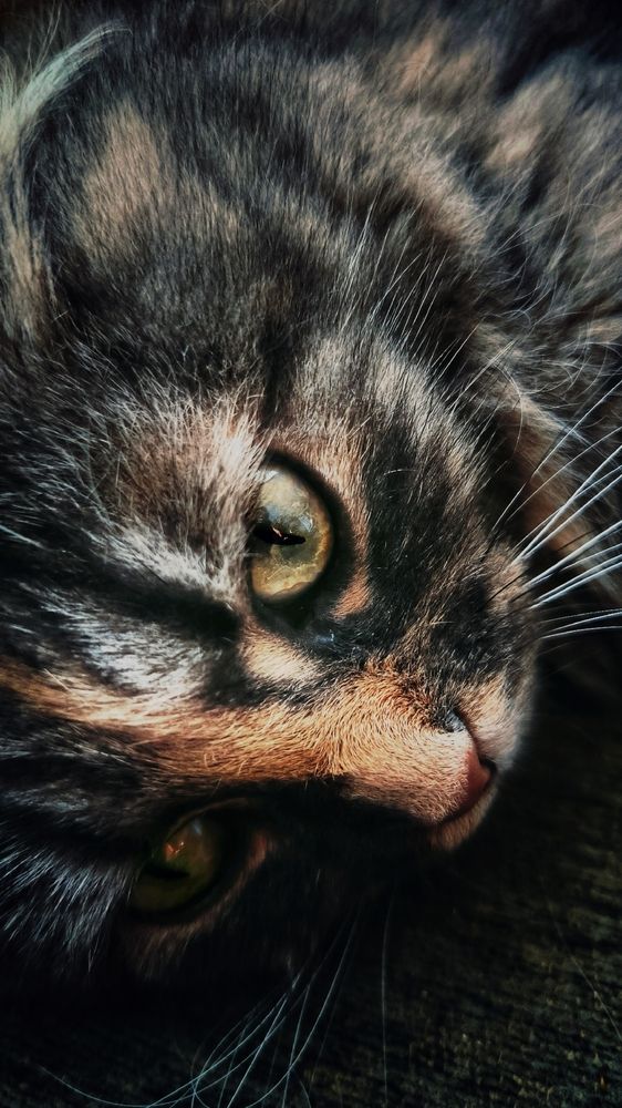 Фотография автора Ольга Попова