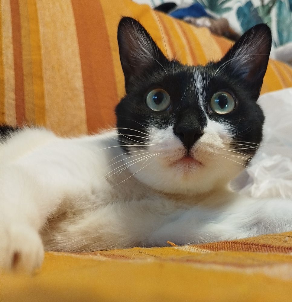 Photograph by Евгения Семёнова