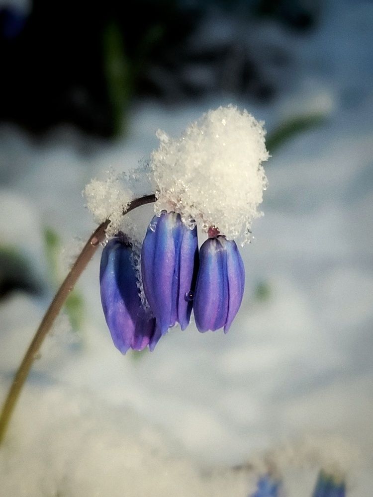 Фотография автора Алина