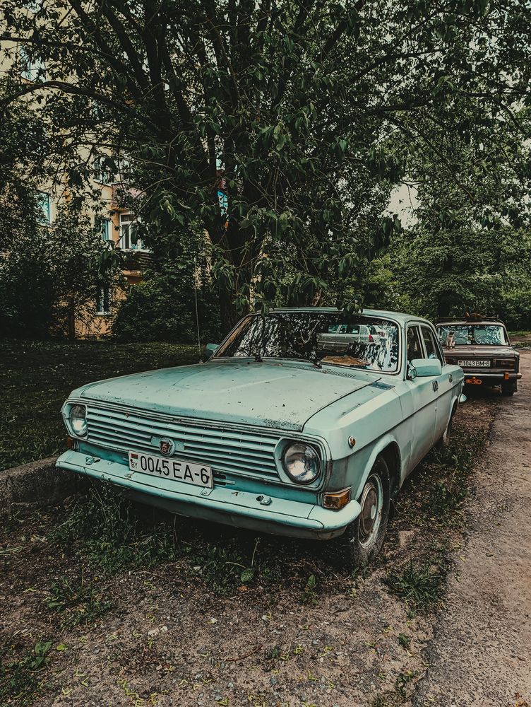 Фотография автора Светлана Таркан