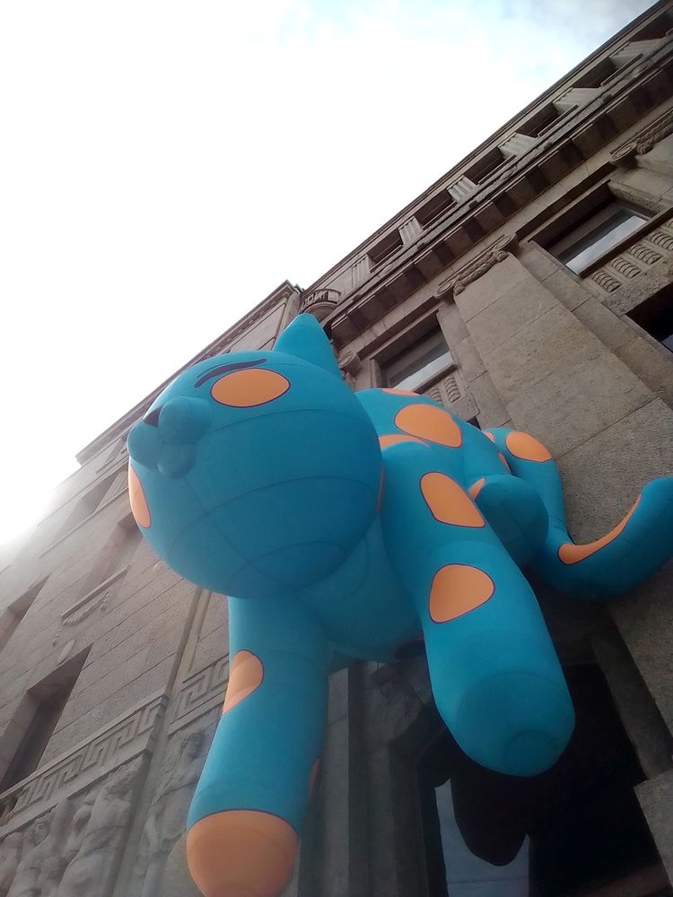 Фотография автора Irina Mihailovskaya