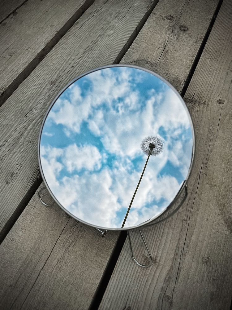 Фотография автора Дина Желанова