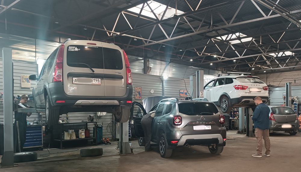 Фотография автора Алла Бойко