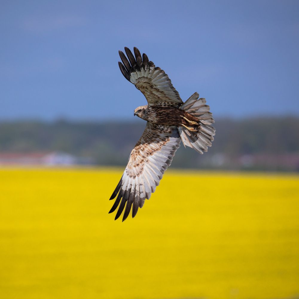 Photograph by Eduard Zhuravlev