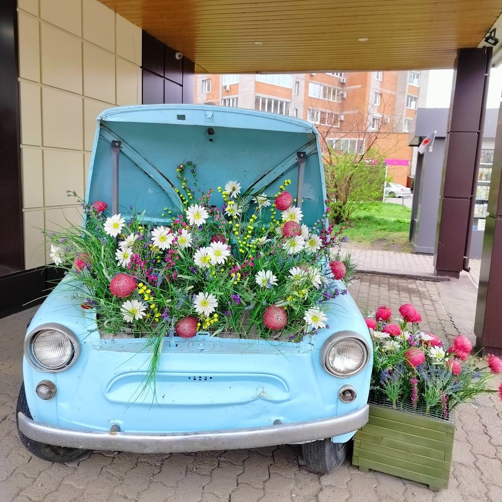 Фотография автора Анастасия Горбачева