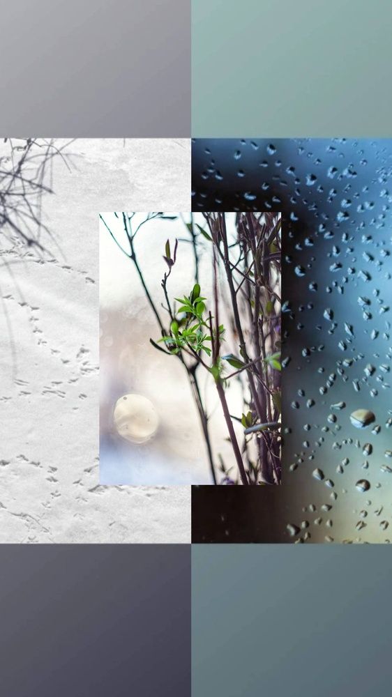 Фотография автора Екатерина Першина