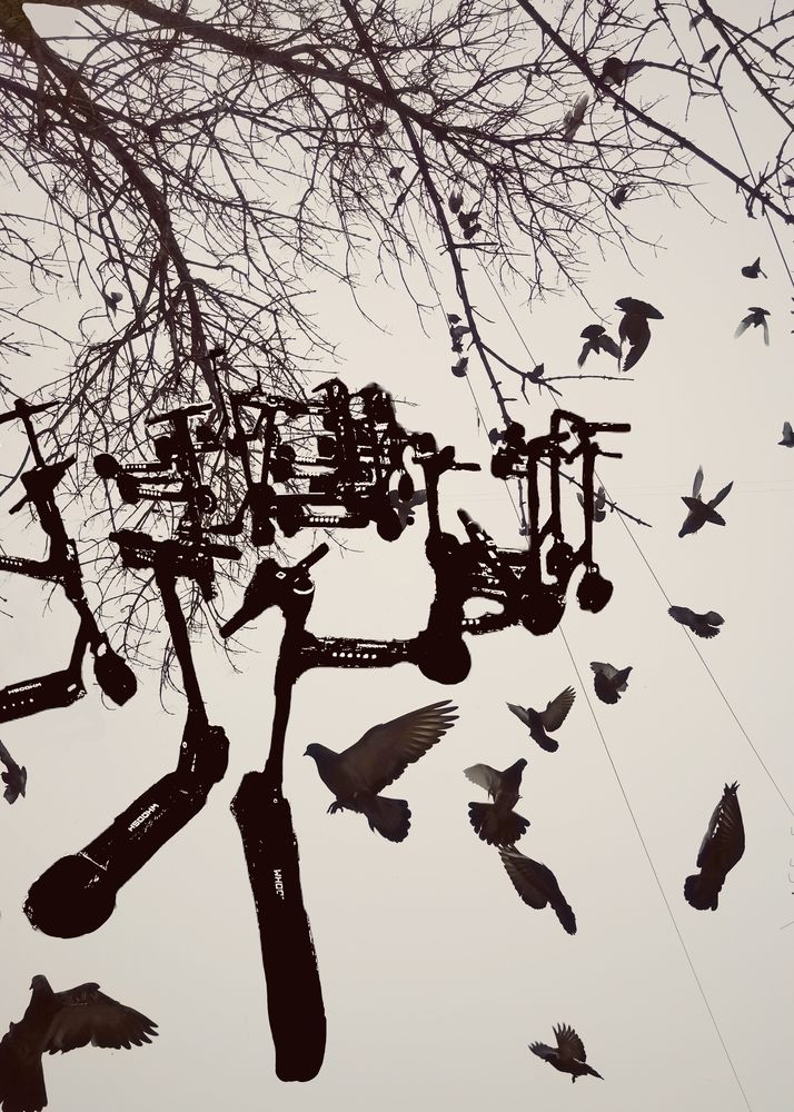 Фотография автора Екатерина Першина