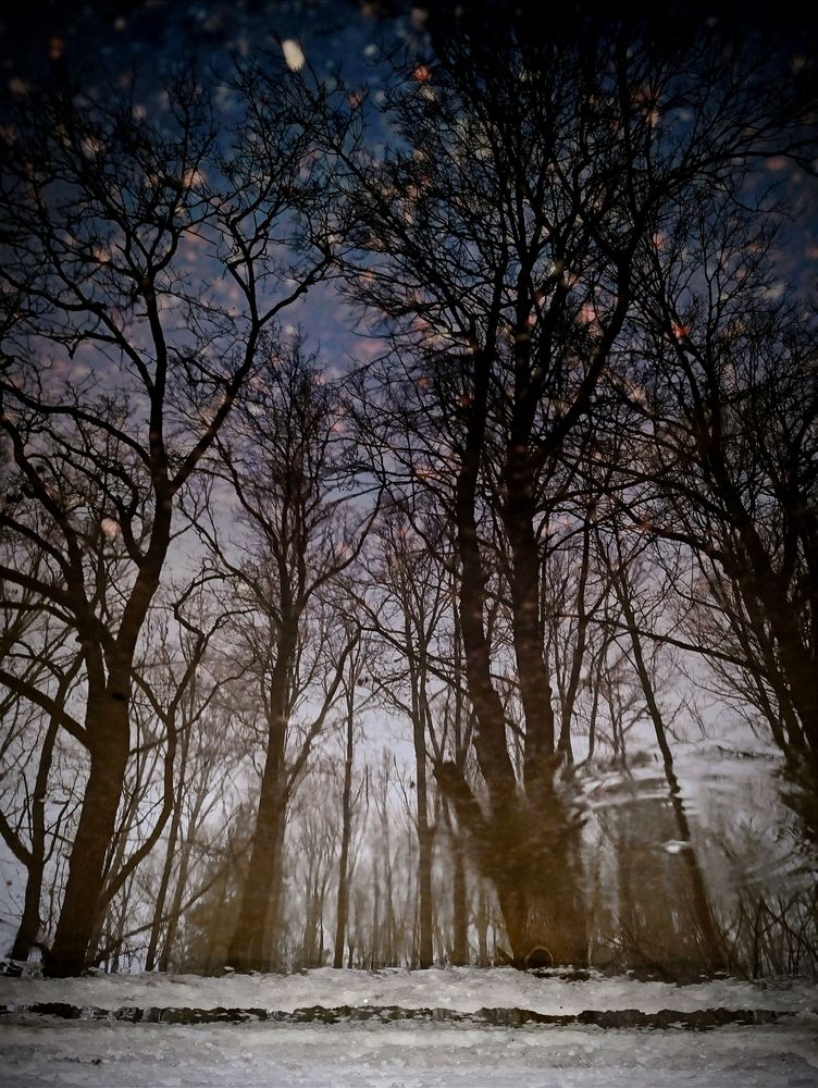 Фотография автора Светлана Таркан