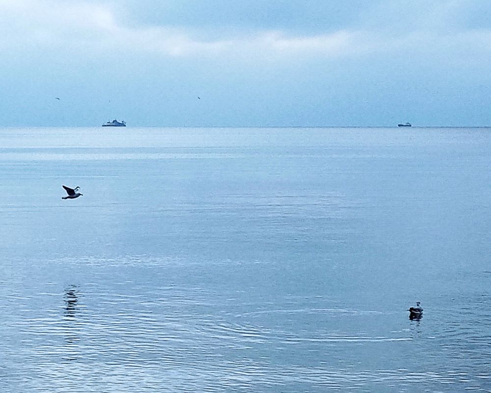 Photograph by Светлана Зубанова