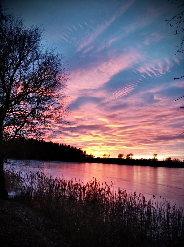 Photograph by Anna Krivorucko