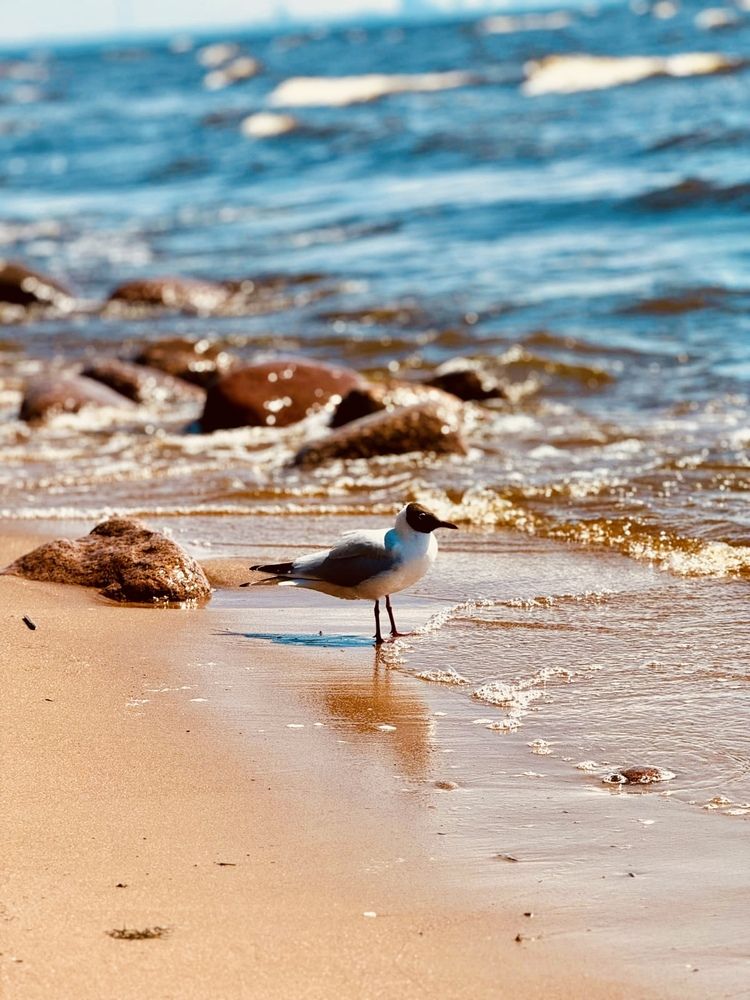 Photograph by Anna Krivorucko