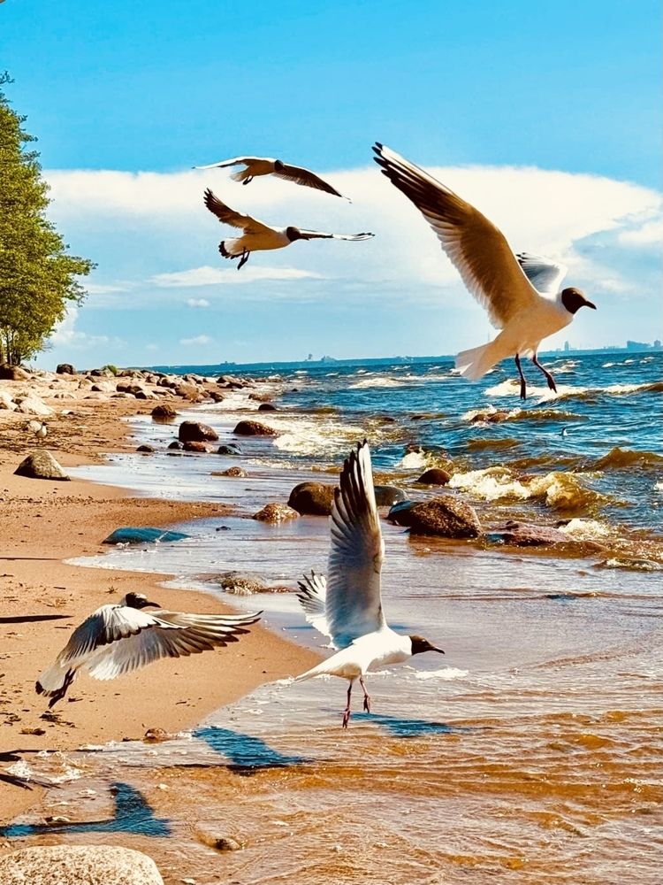 Photograph by Anna Krivorucko