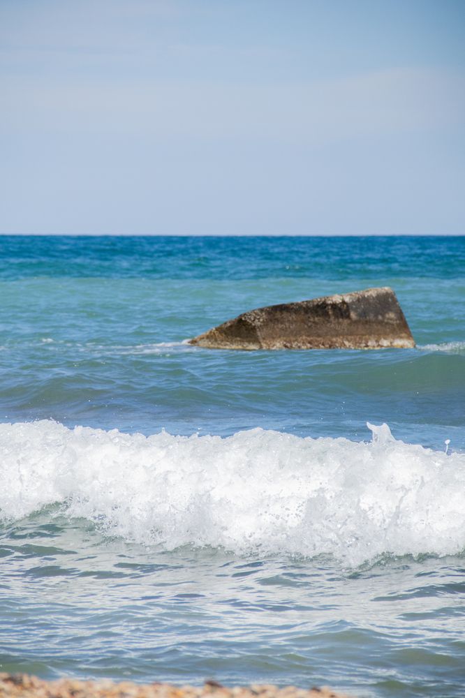 Фотография автора Ксения Золотарь