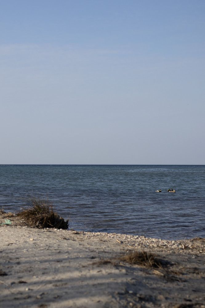 Фотография автора Ксения Золотарь