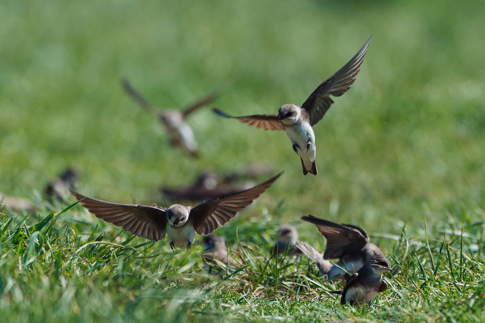 Photograph by Татьяна Ровенская