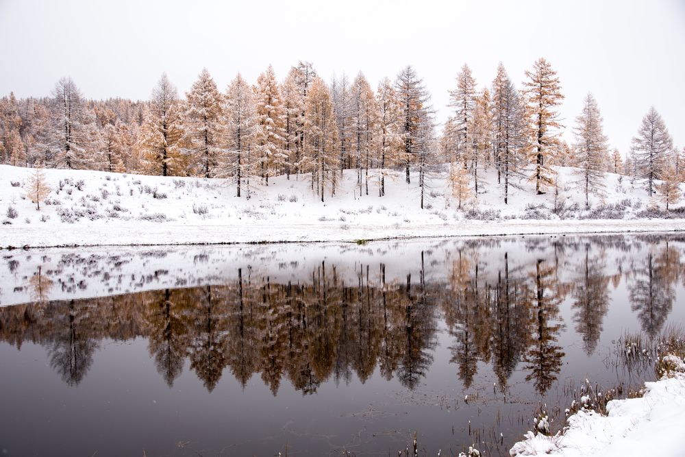 Фотография автора Марина Корреа Ластра