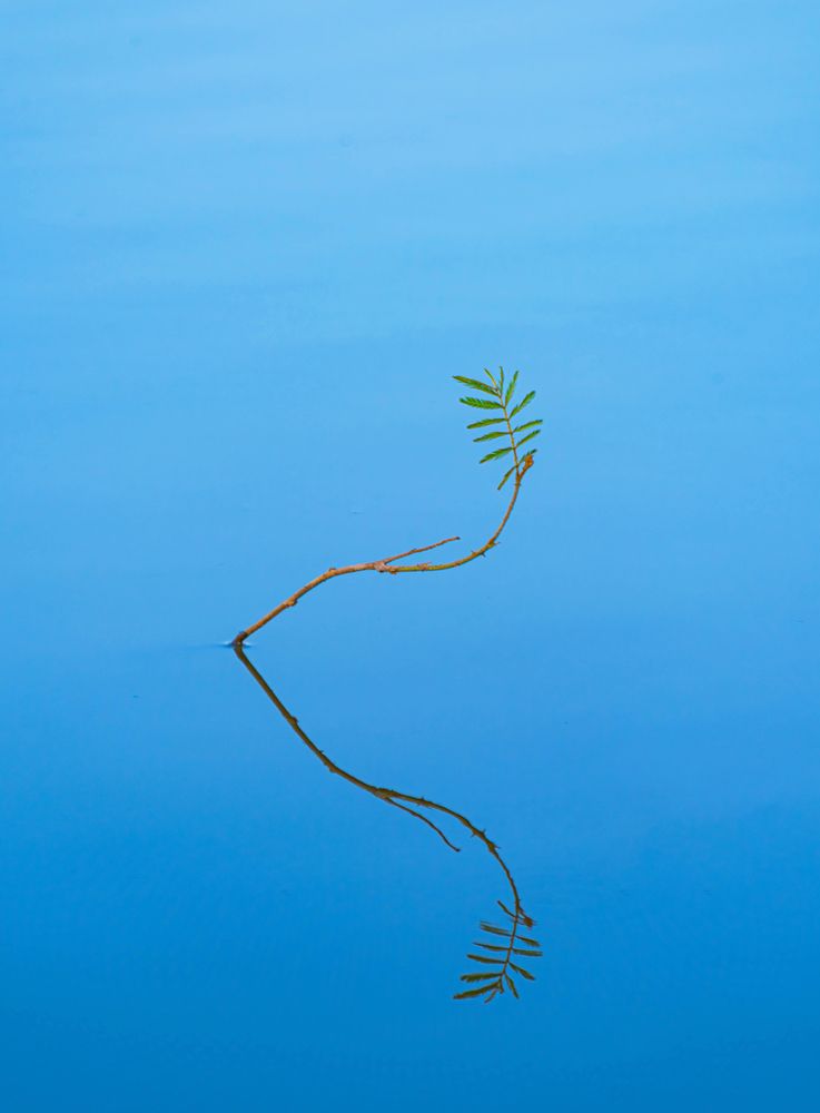 Фотография автора Duc Nguyen