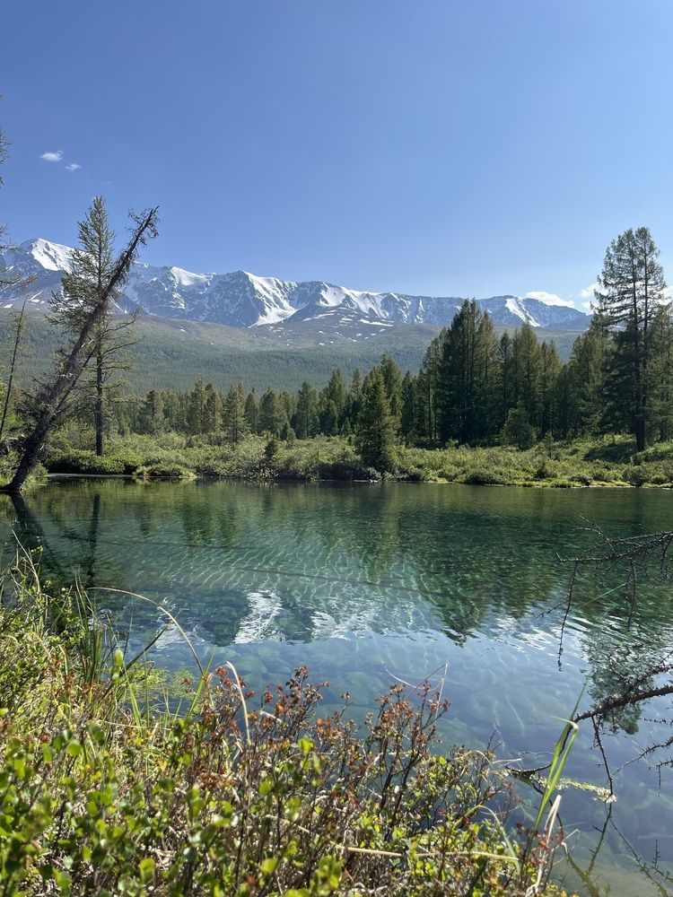 Photograph by Наталья Пасечко