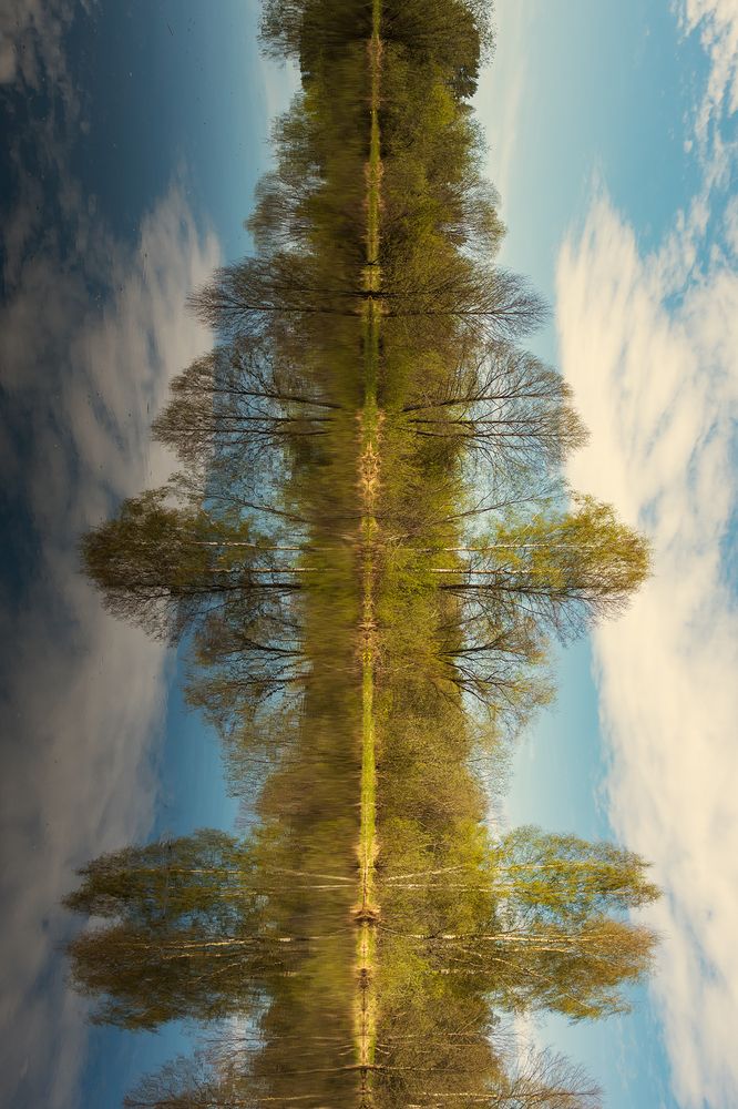 Фотография автора Yulia