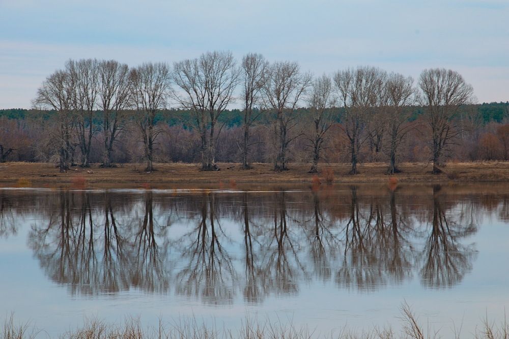 Photograph by Василий Быстрицкий