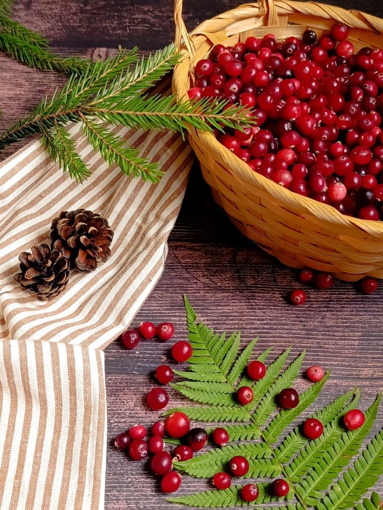 Фотография автора Светлана Таркан