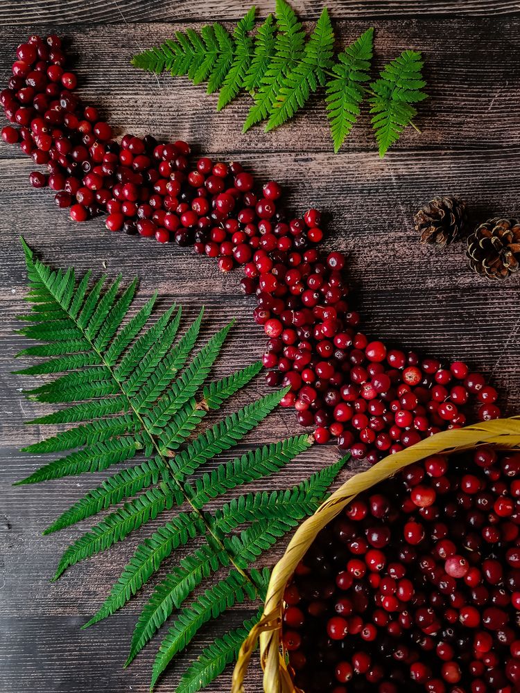 Фотография автора Светлана Таркан