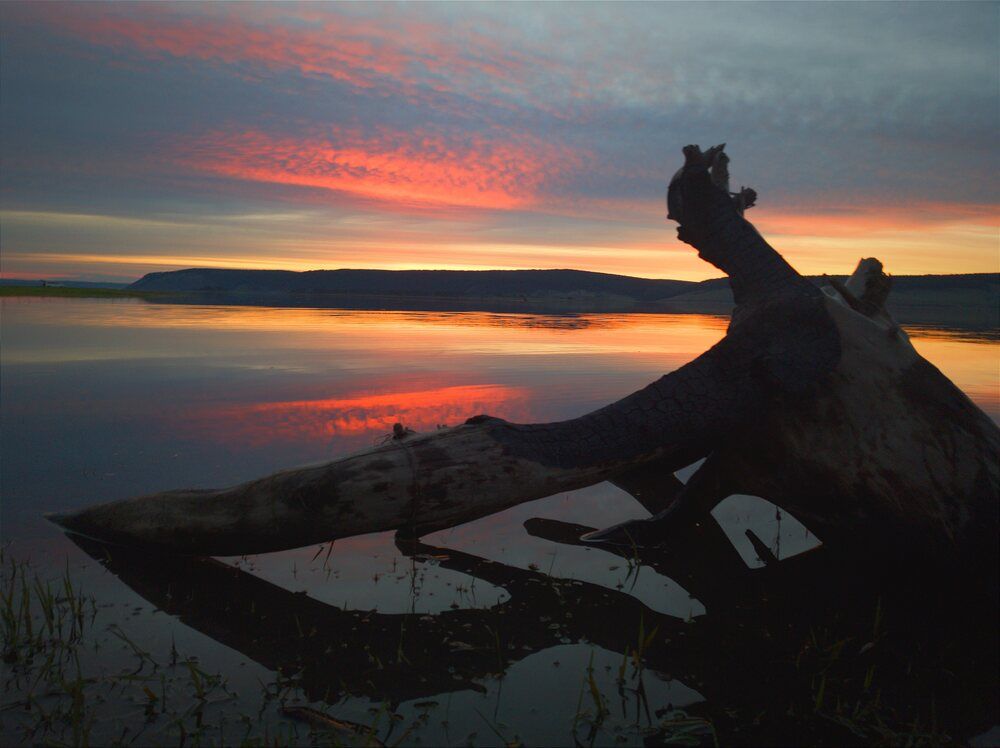 Photograph by Ульяна Северинова