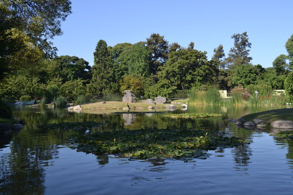 Фотография автора Roger Laverde