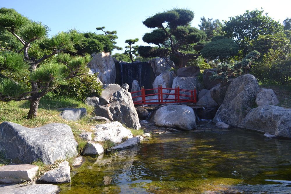 Фотография автора Roger Laverde