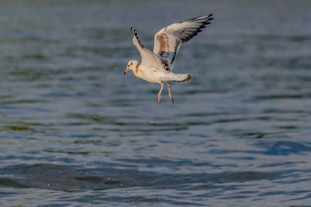 Photograph by Потоцкий Вячеслав