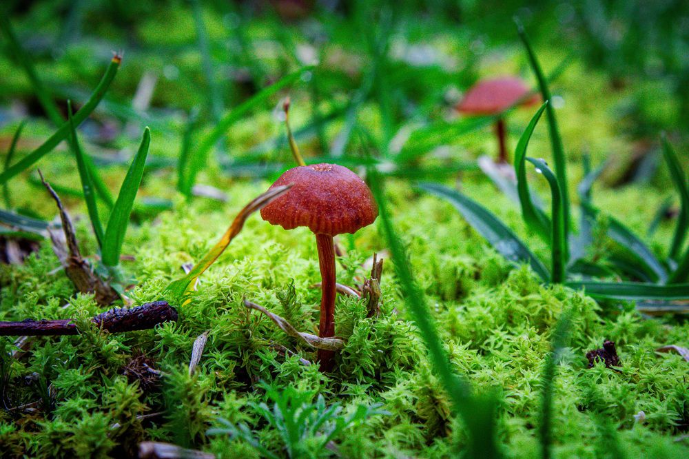 Фотография автора Roger Laverde