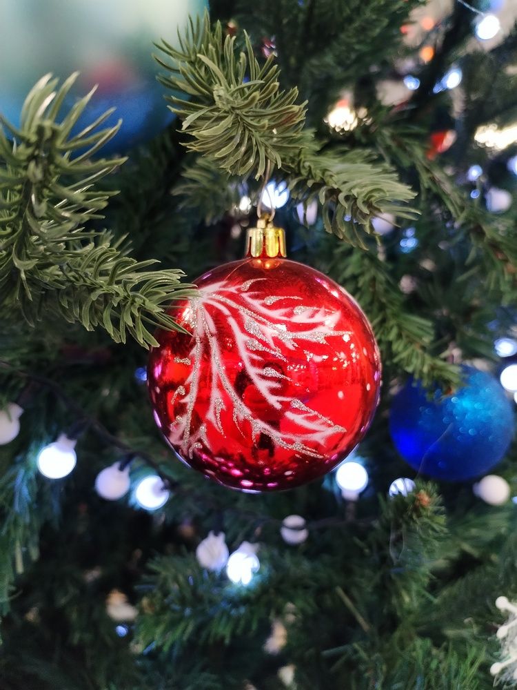 Фотография автора Юлия Ю.