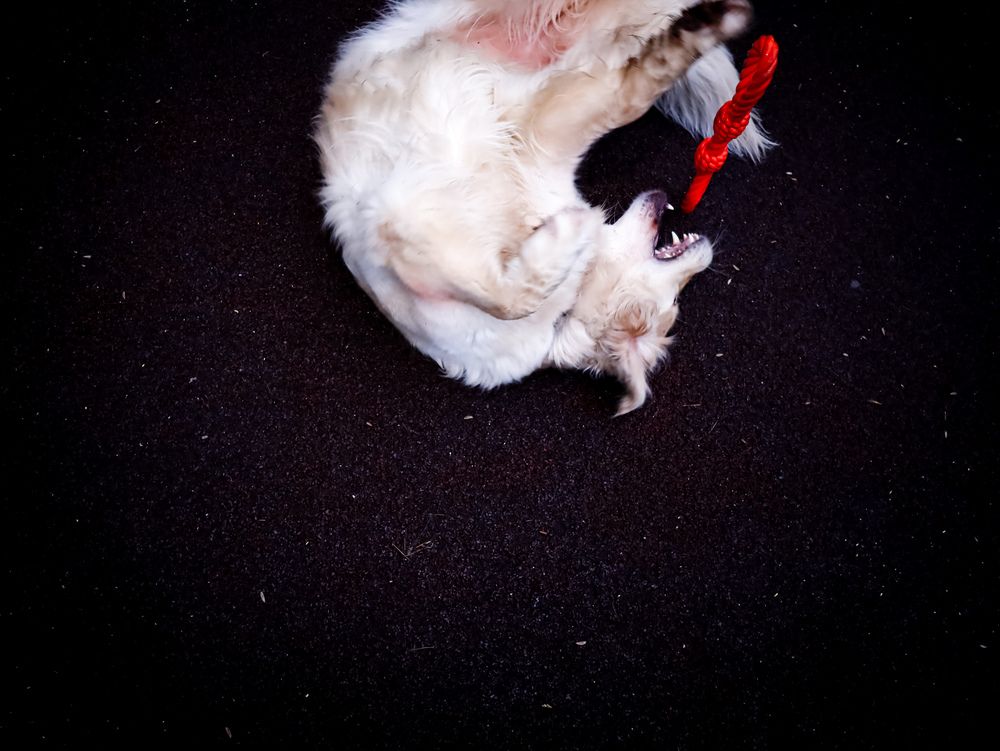 Photograph by Боков Дмитрий