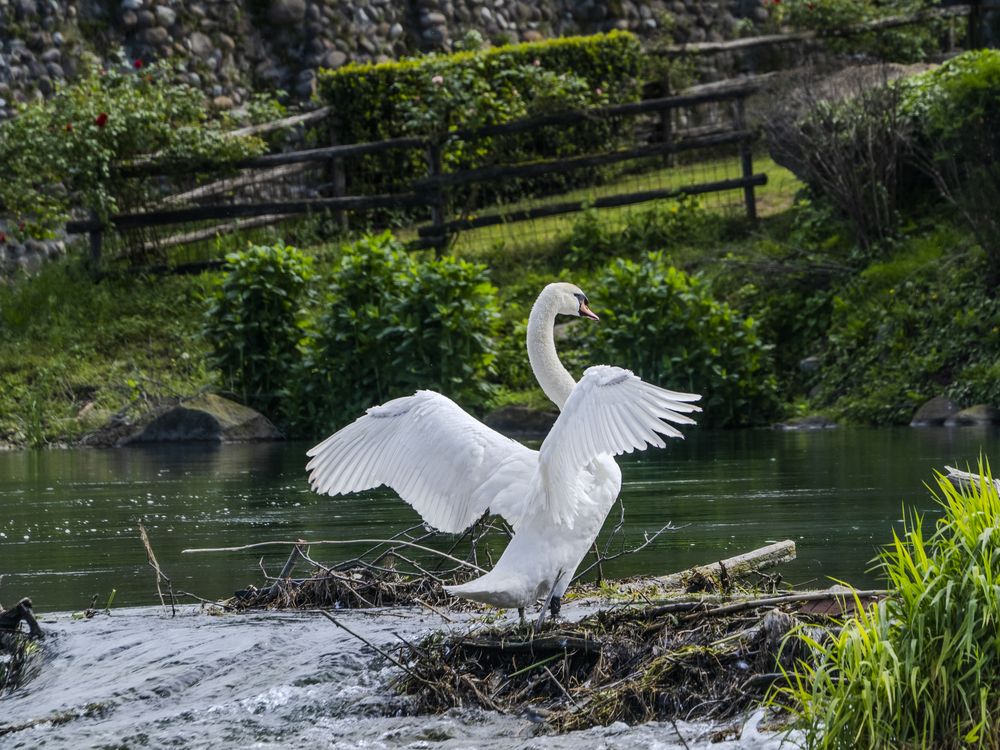Photograph by Andrea Brunelli