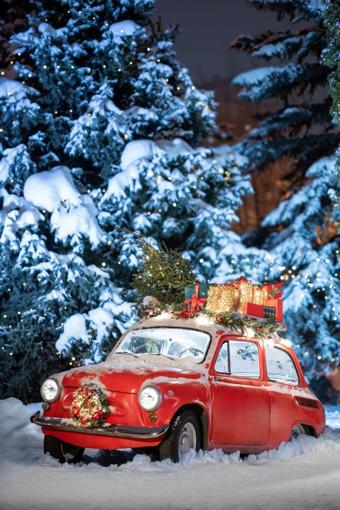 Фотография автора Никита Ткачев