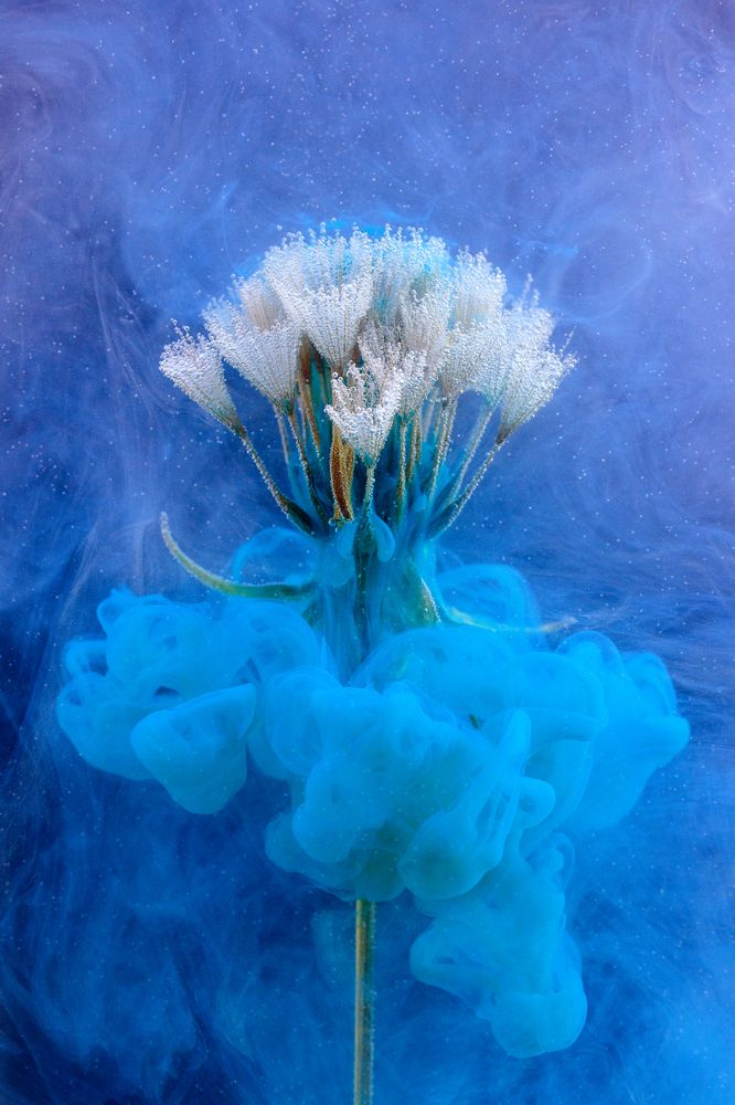 Photograph by Inga Ivanova