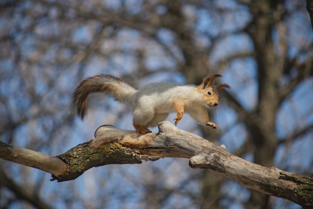 Photograph by Потоцкий Вячеслав