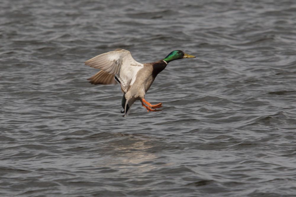 Photograph by Потоцкий Вячеслав