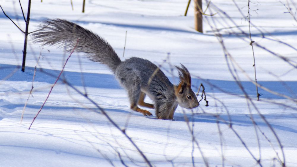 Photograph by Елена Манаева